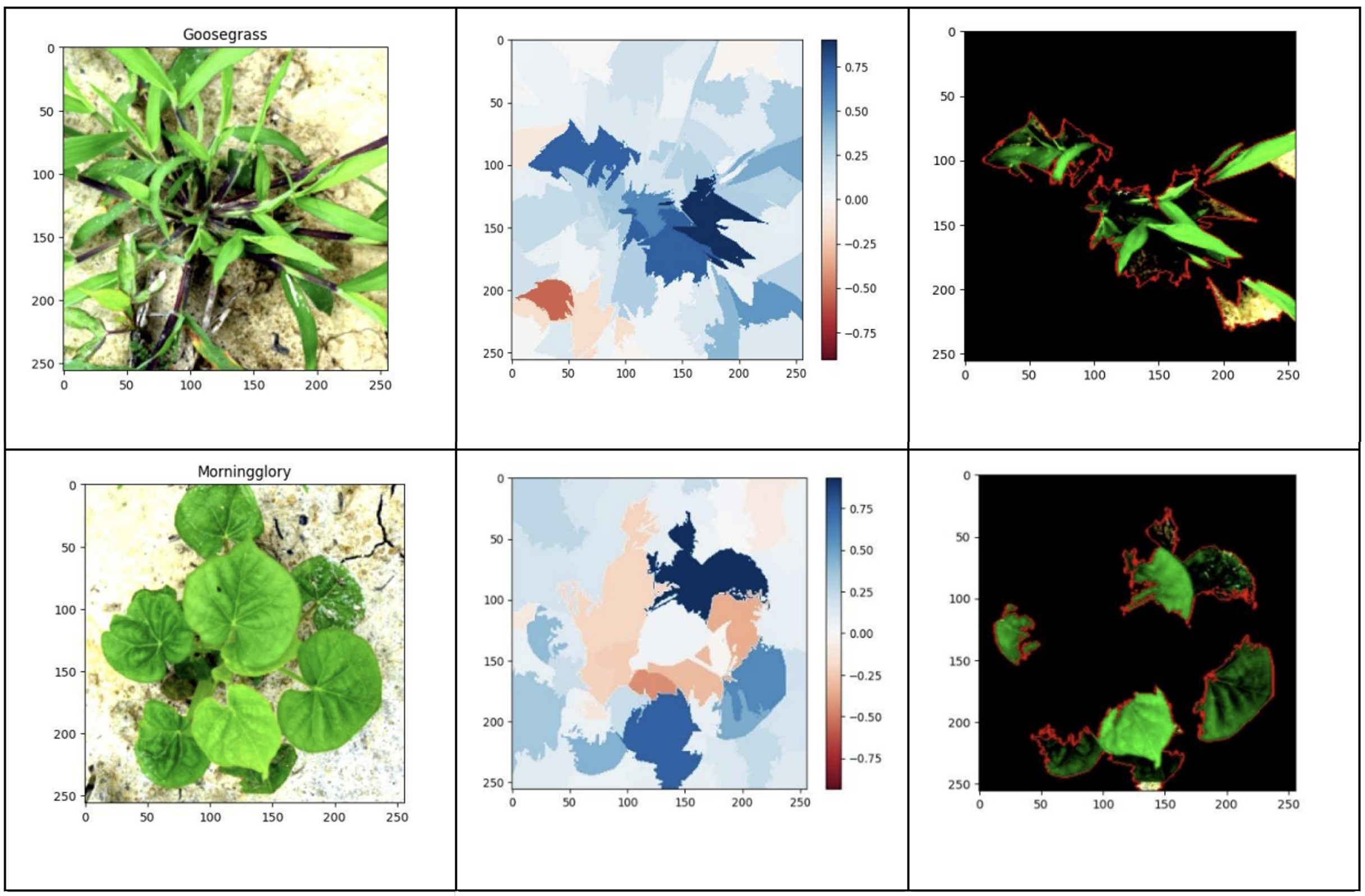 Revealing and Categorizing Weeds in Cotton Plants using XAI and RepVGGPlus